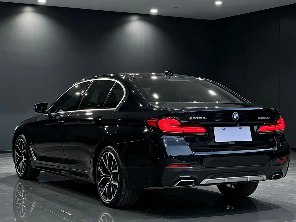 BMW 5 Series — миниатюра 7