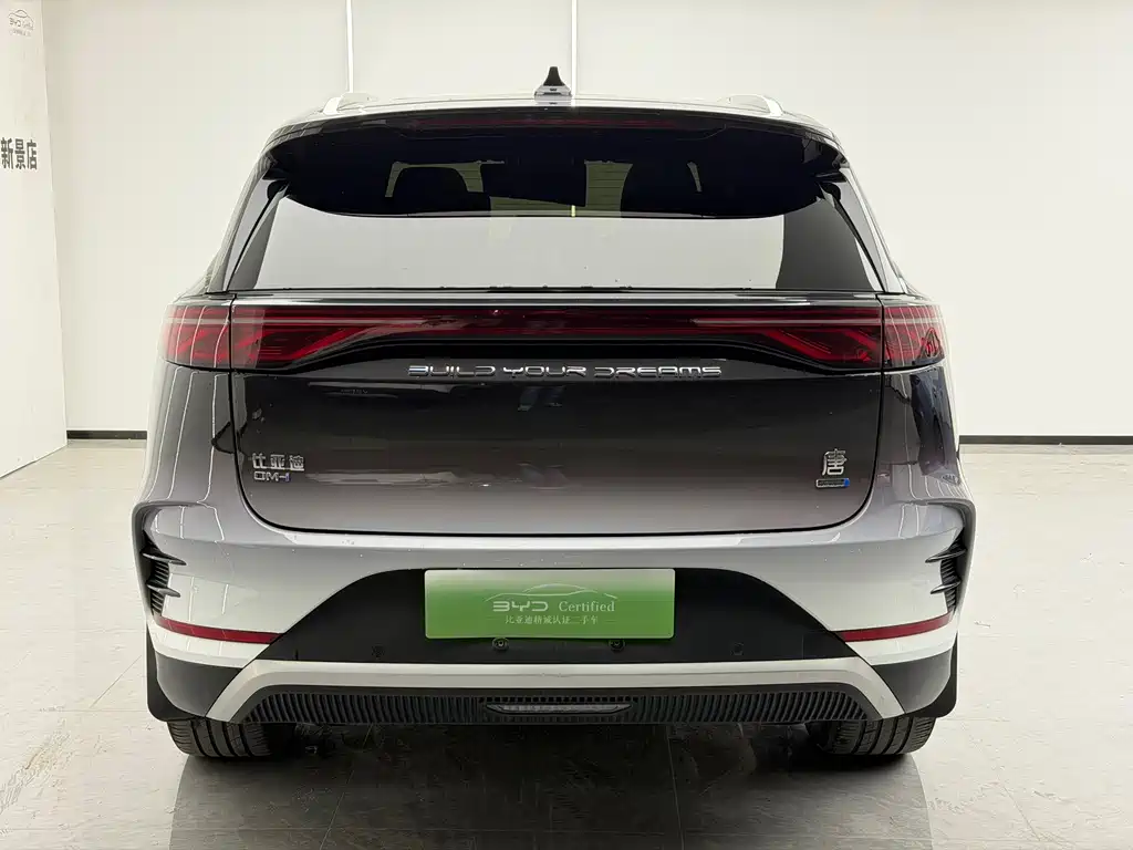 BYD Tang New Energy — миниатюра 3