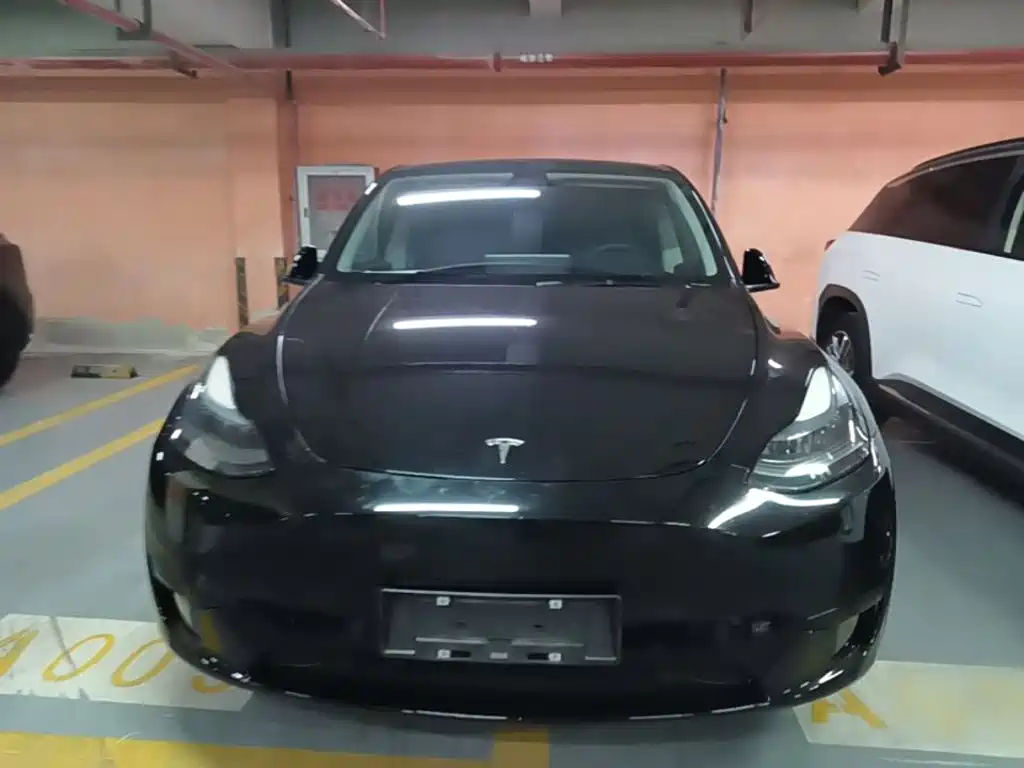 Tesla Model Y — миниатюра 3