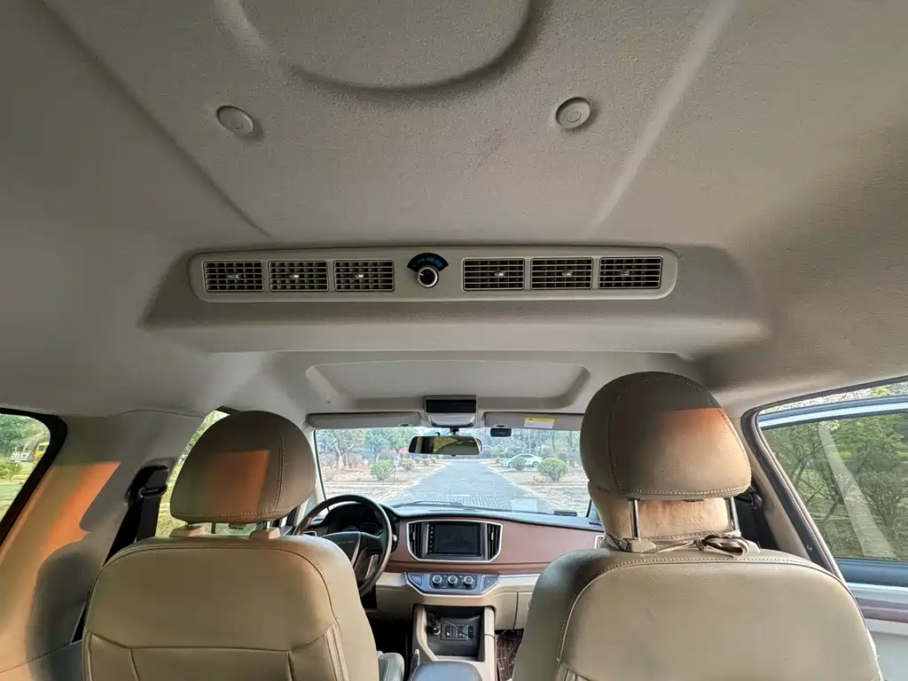 DONGFENG LINGZHI NEW ENERGY