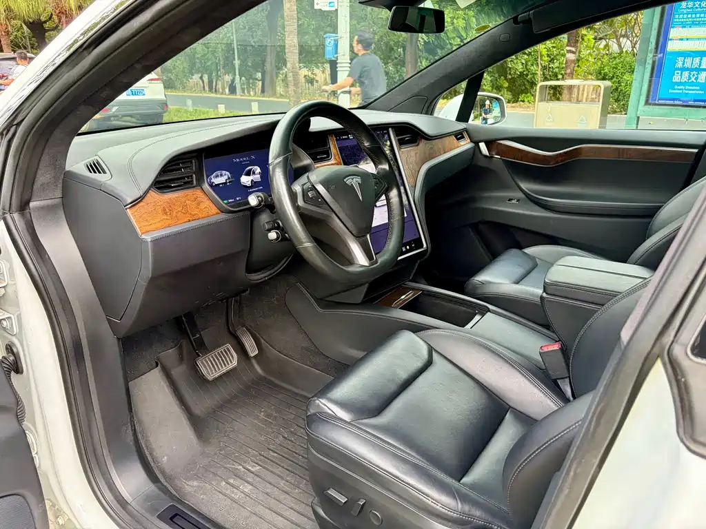Tesla Model X — миниатюра 8