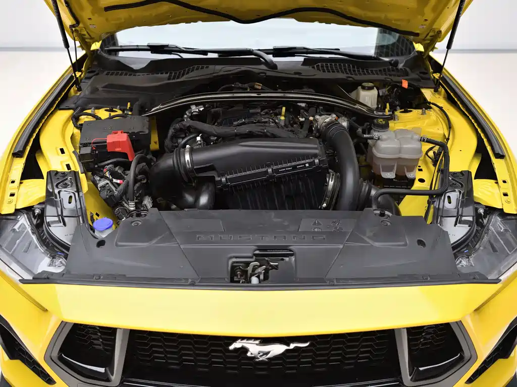 Ford Mustang — миниатюра 9