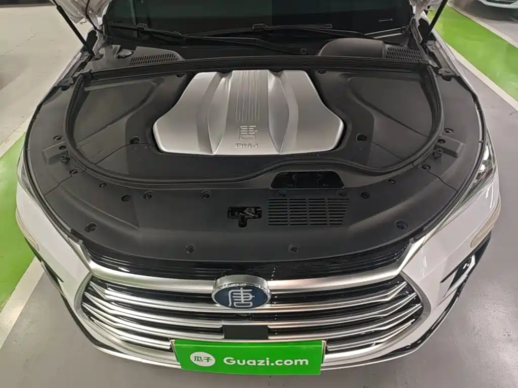 BYD Tang New Energy — миниатюра 20