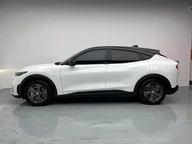 Ford Mustang Mach-E — миниатюра 6