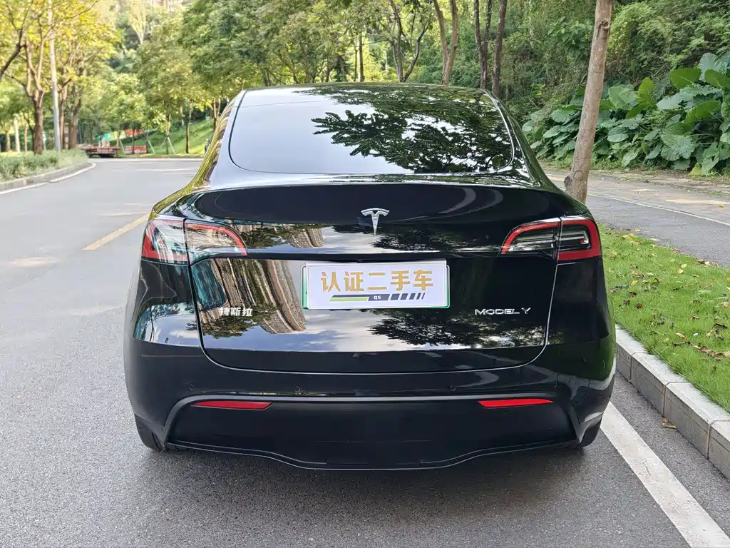 Tesla Model Y — миниатюра 6