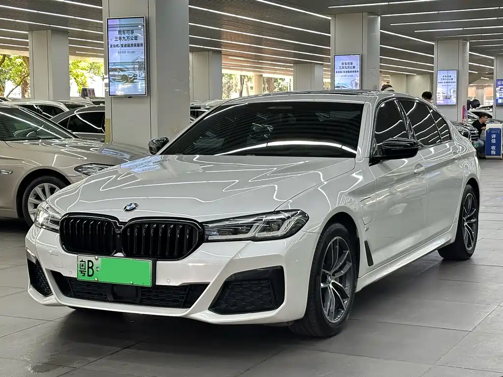 BMW 5 Series New Energy