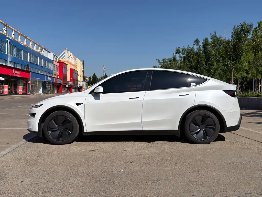Tesla Model Y — миниатюра 3