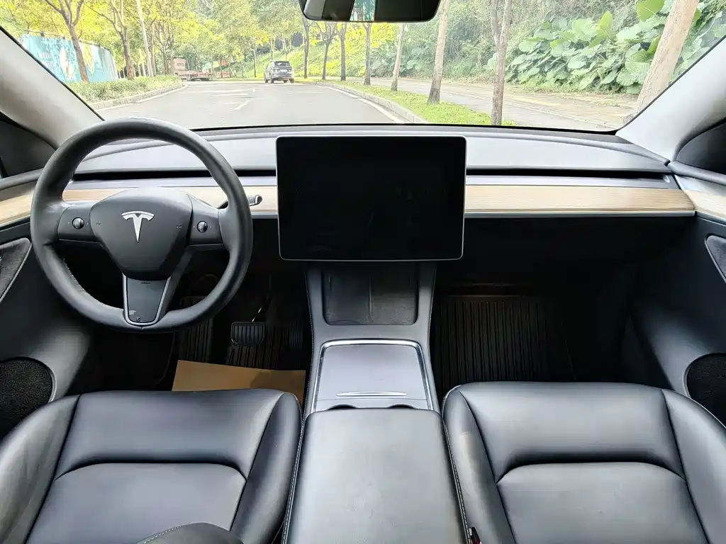 Tesla Model Y — миниатюра 15