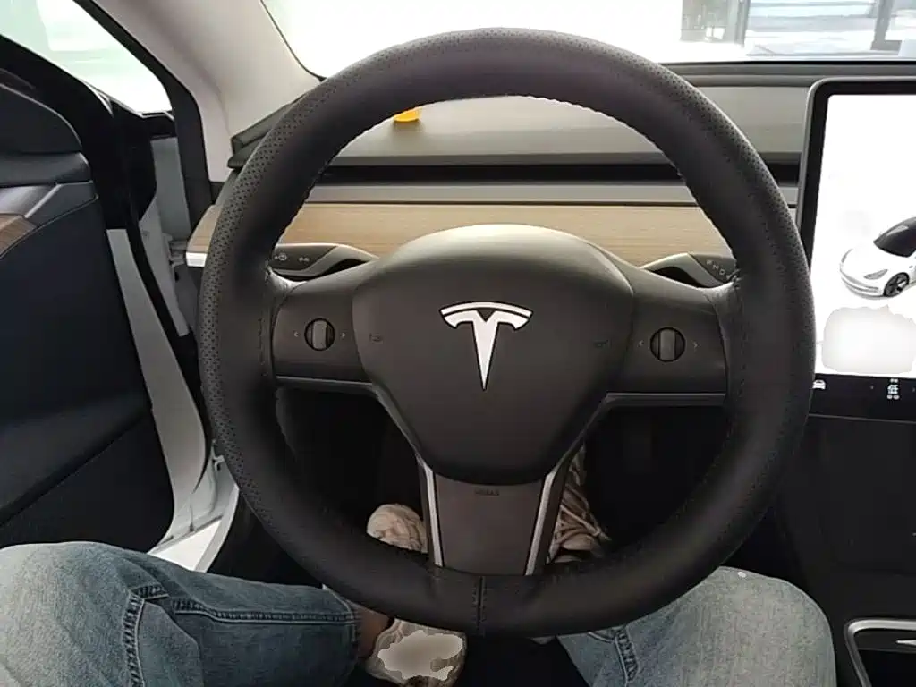 Tesla Model 3 — миниатюра 11