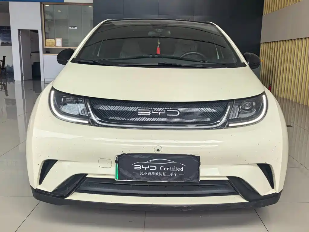 BYD Dolphin — миниатюра 2