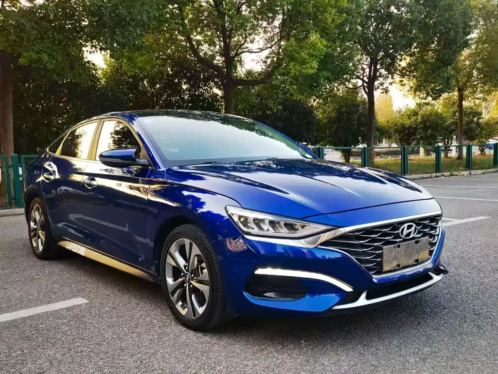 Hyundai Fista — миниатюра 2