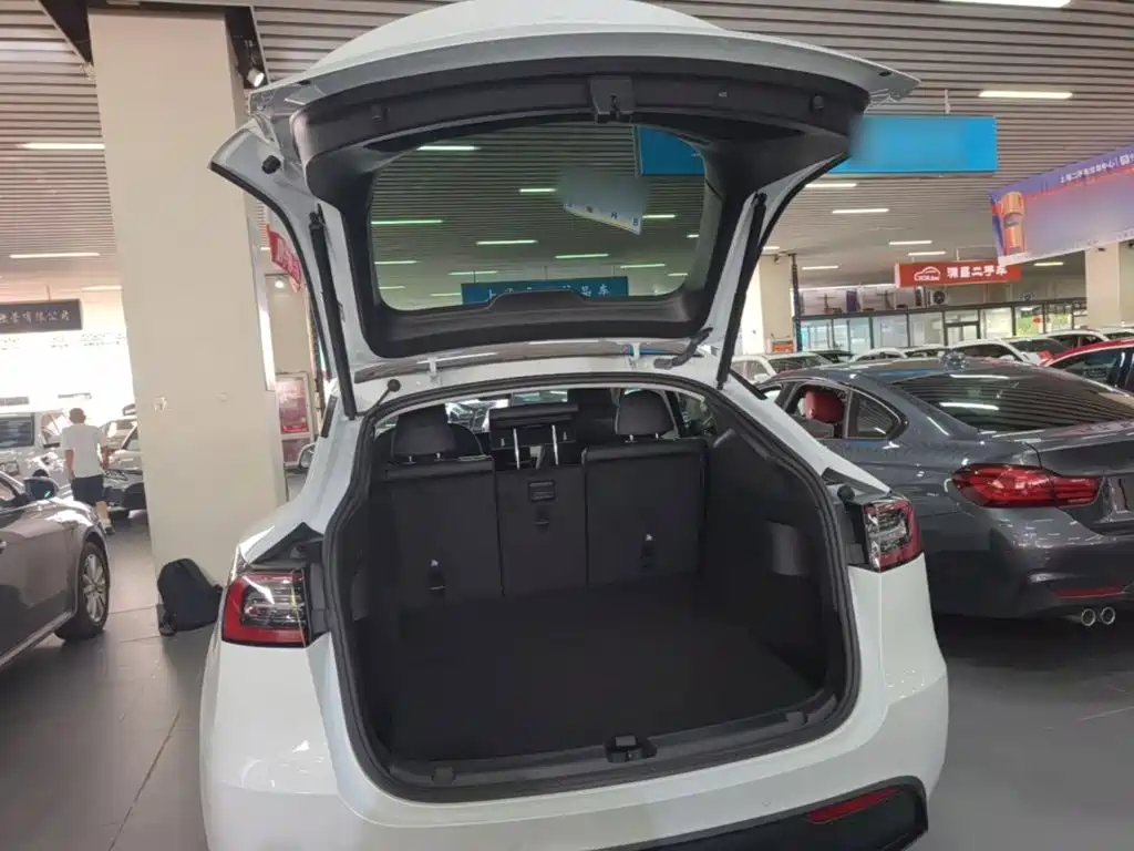 Tesla Model Y — миниатюра 19