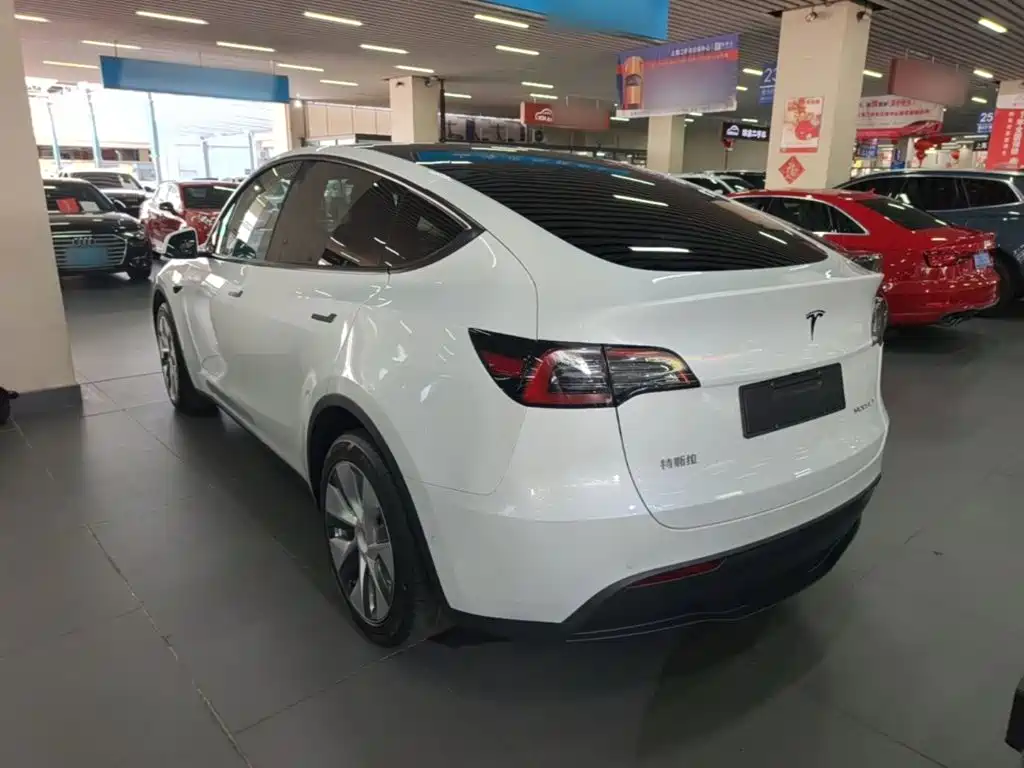 Tesla Model Y — миниатюра 5