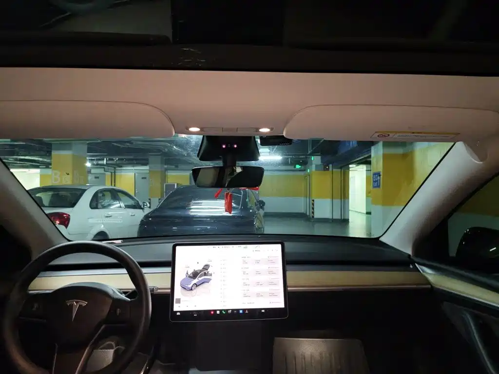 Tesla Model Y — миниатюра 14