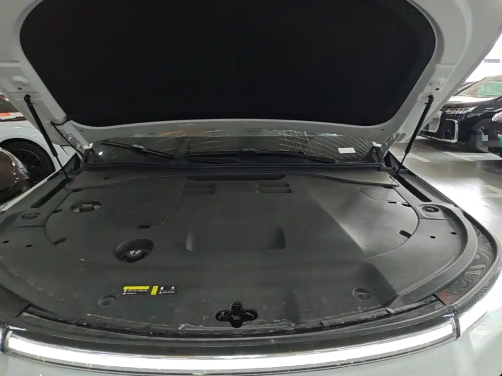 GAC Motor Trumpchi Xiangwang S9 — миниатюра 20