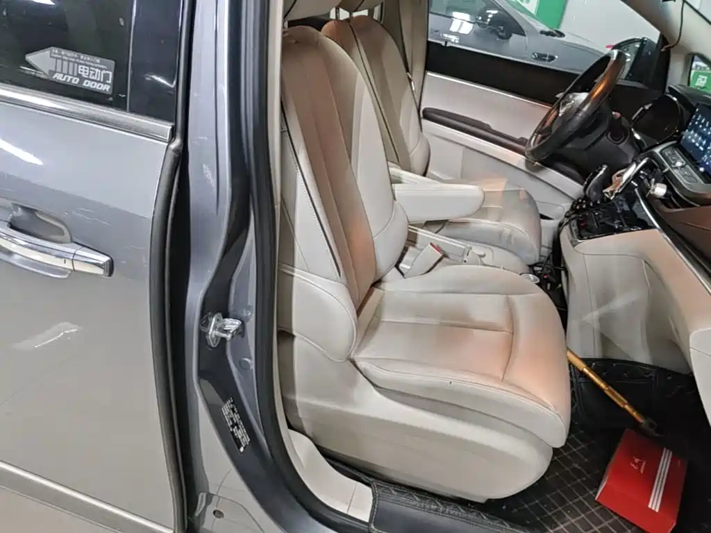 Buick GL8 — миниатюра 25