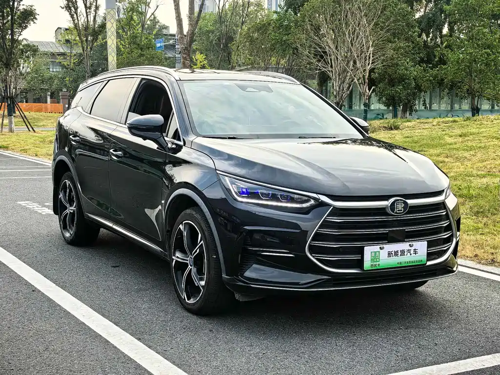 BYD Tang New Energy — миниатюра 3