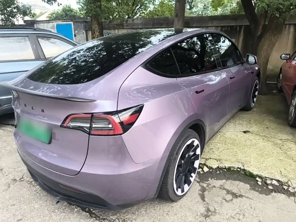 Tesla Model Y — миниатюра 7