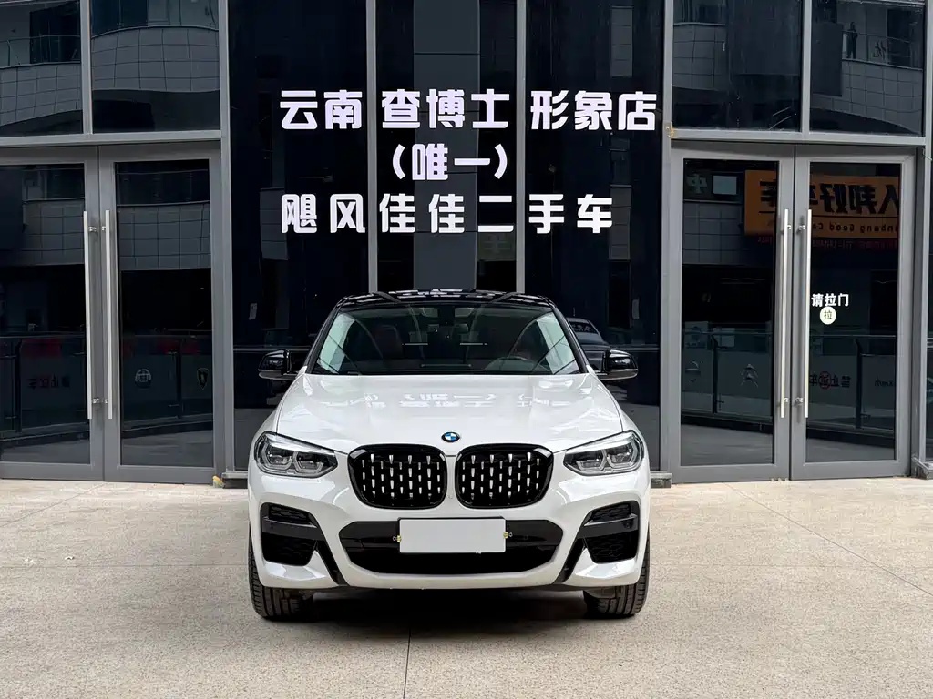 BMW X4 — миниатюра 2