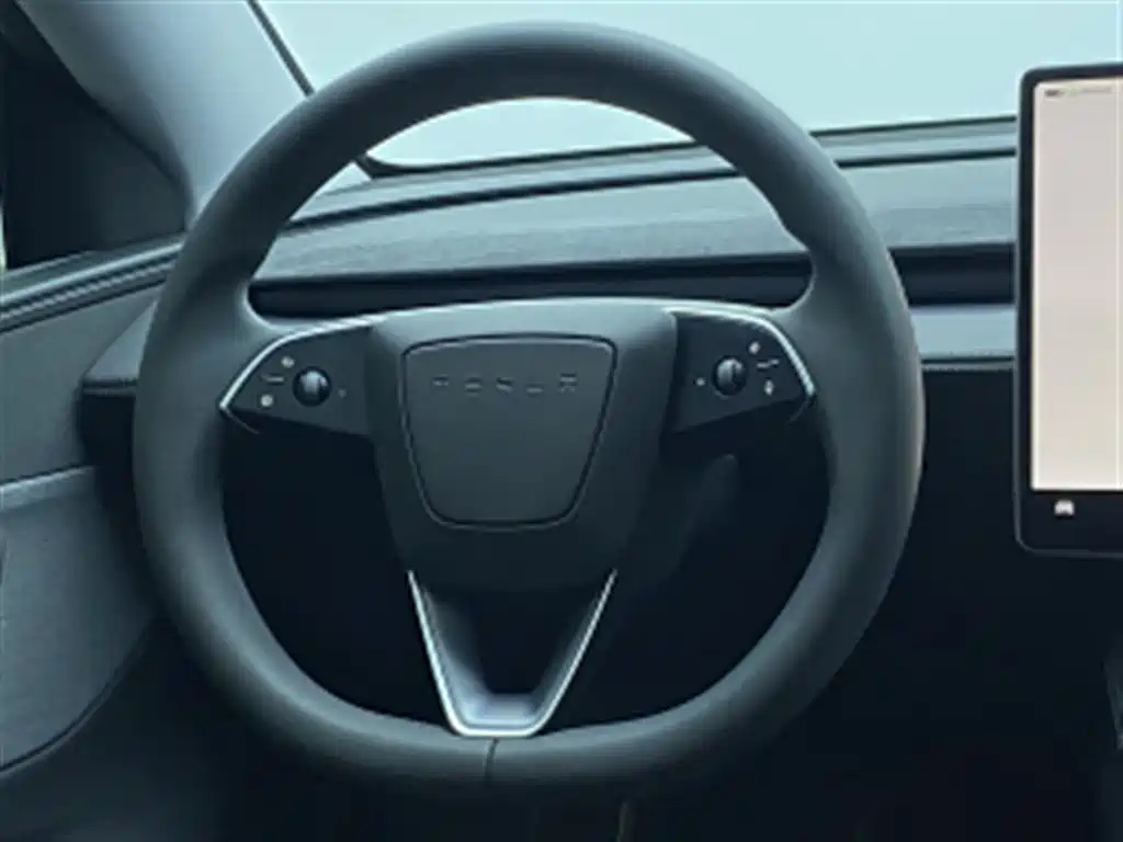Tesla Model Y — миниатюра 11