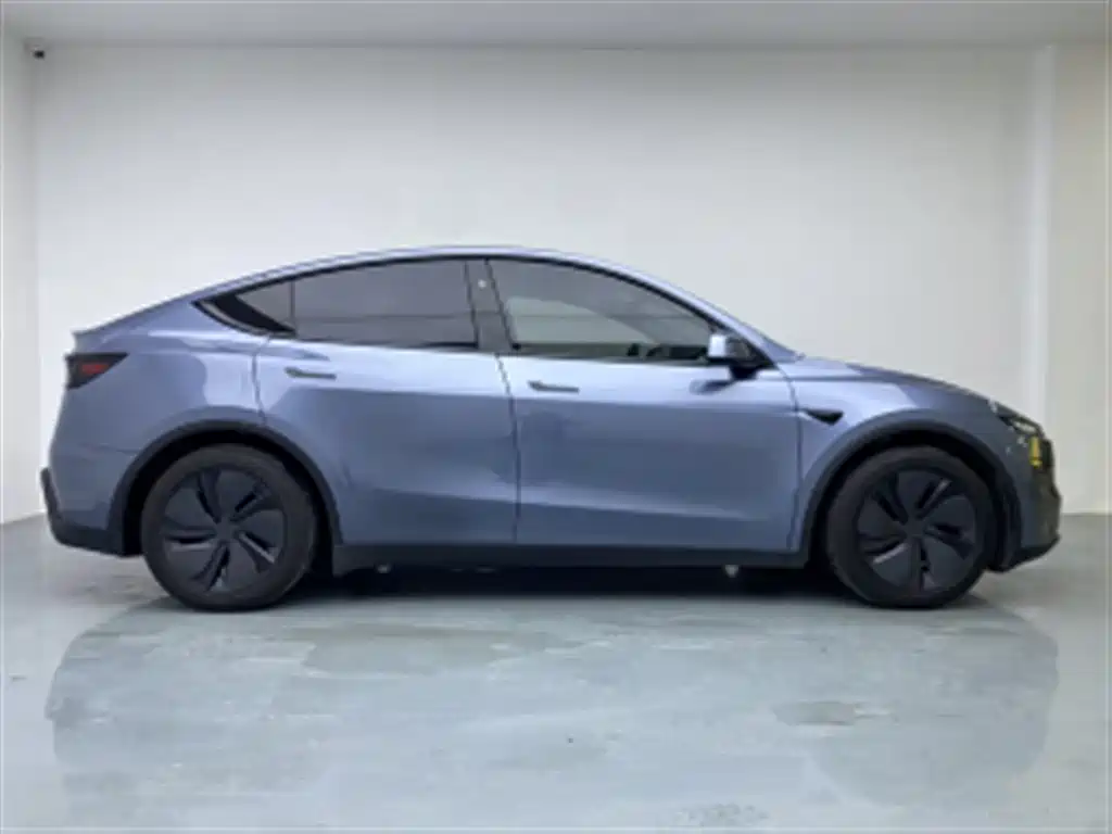 Tesla Model Y — миниатюра 8