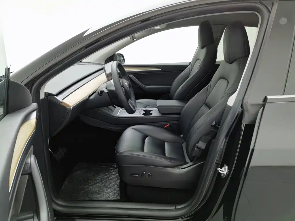 Tesla Model Y — миниатюра 10