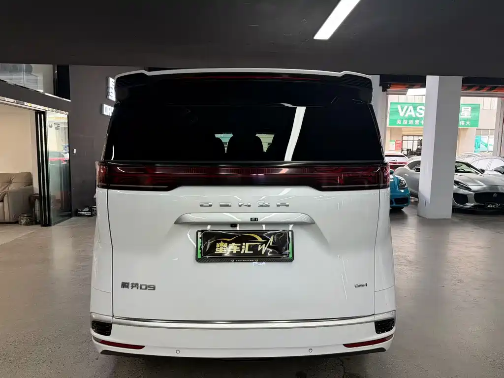 Denza Denza D9 — миниатюра 8
