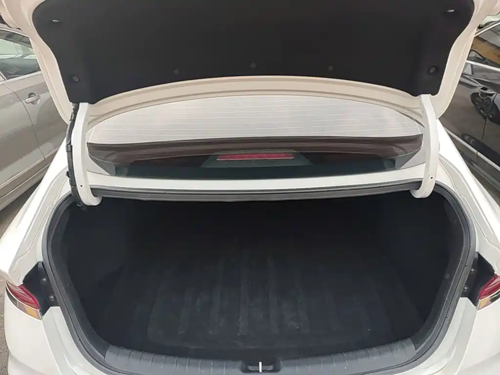 Hyundai Fista — миниатюра 19