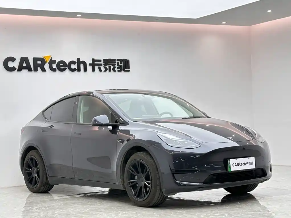 Tesla Model Y — миниатюра 6