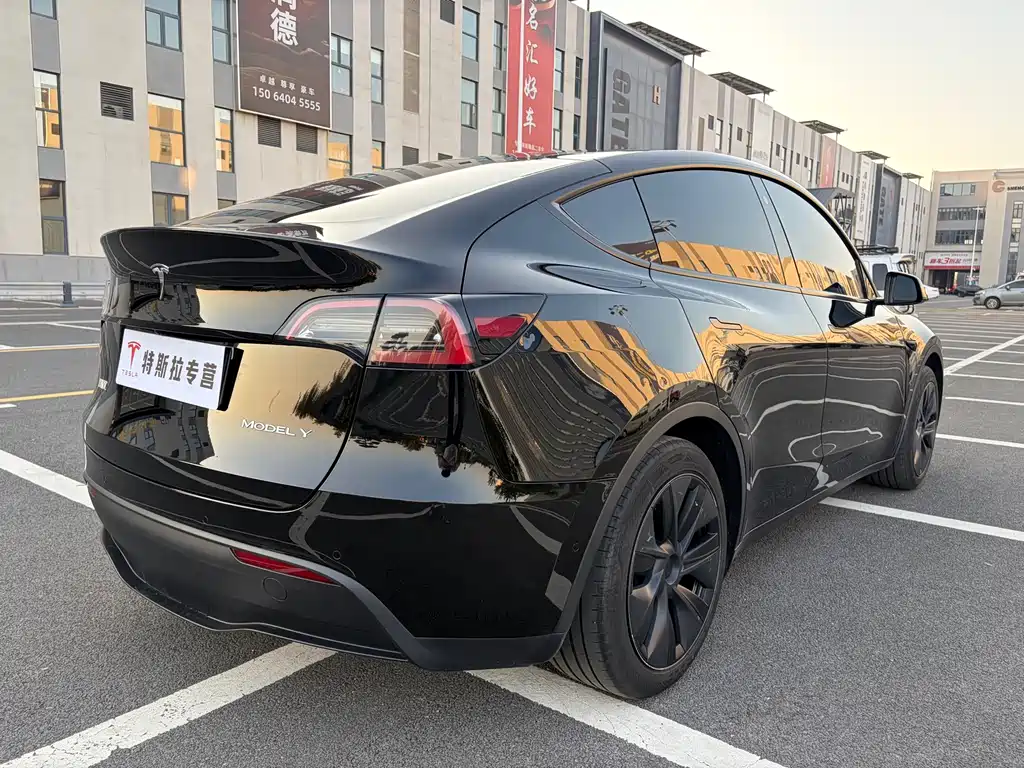 Tesla Model Y — миниатюра 6