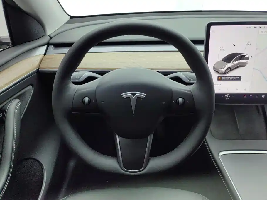 Tesla Model Y — миниатюра 15