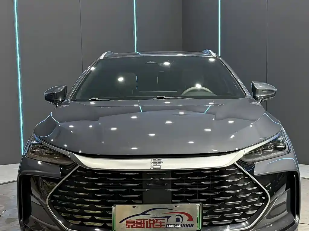 BYD Tang New Energy — миниатюра 2