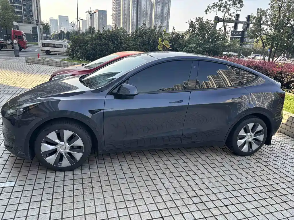 Tesla Model Y — миниатюра 5