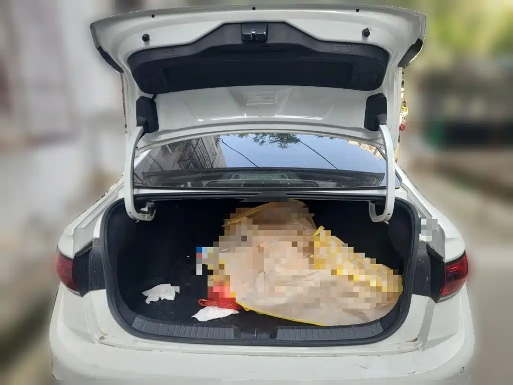 Volkswagen Sagitar — миниатюра 10