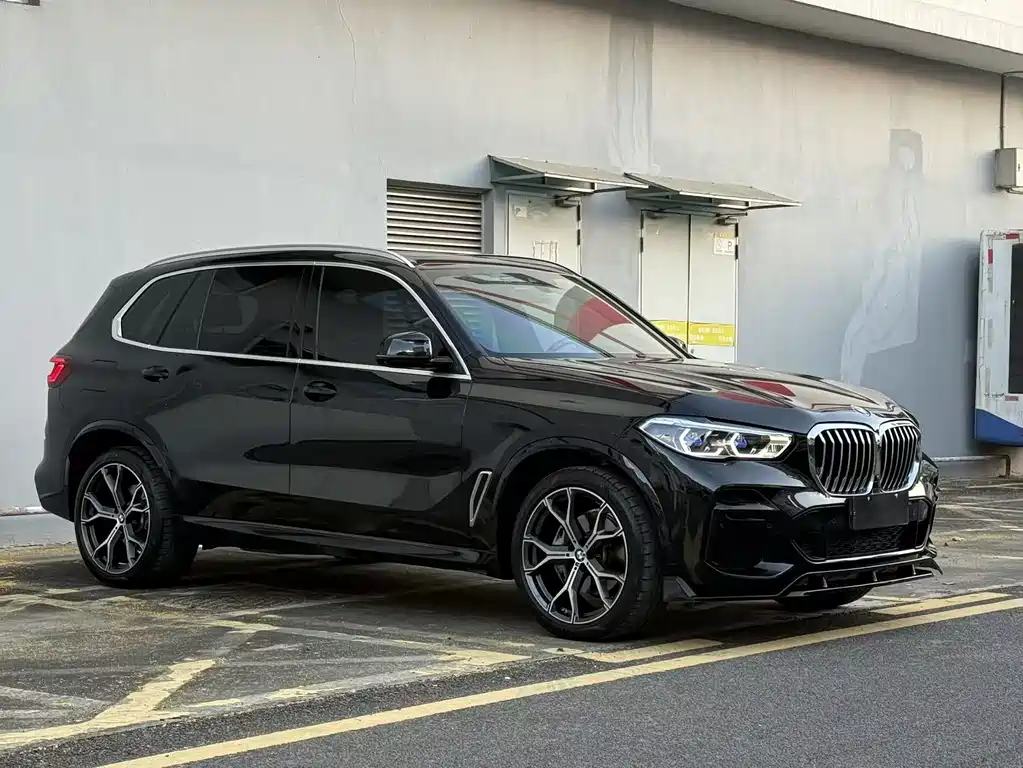 BMW X5 — миниатюра 3