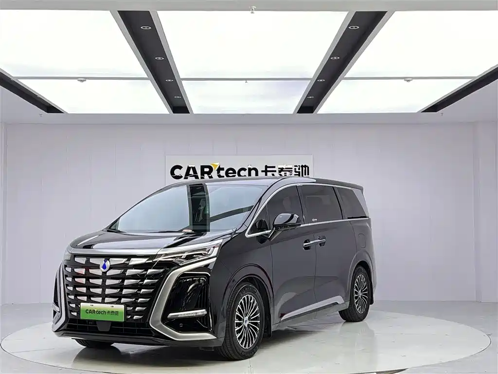 2024 Denza D9 - zdjęcie 1 z 29