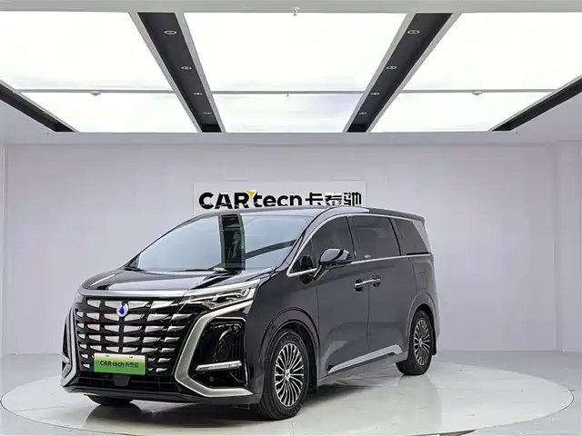 2024 Denza D9