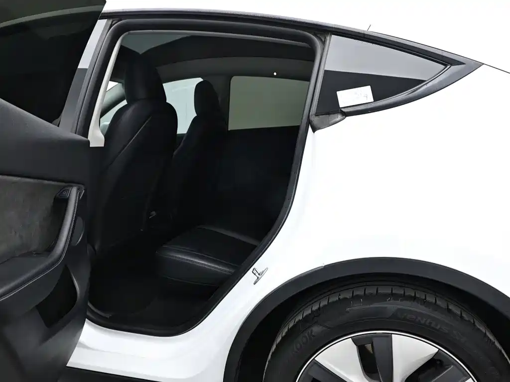 Tesla Model Y — миниатюра 14