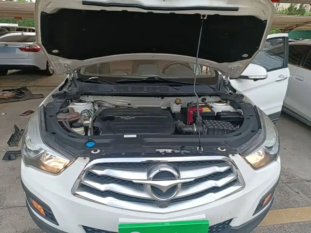 Haima Haima S5 — миниатюра 20