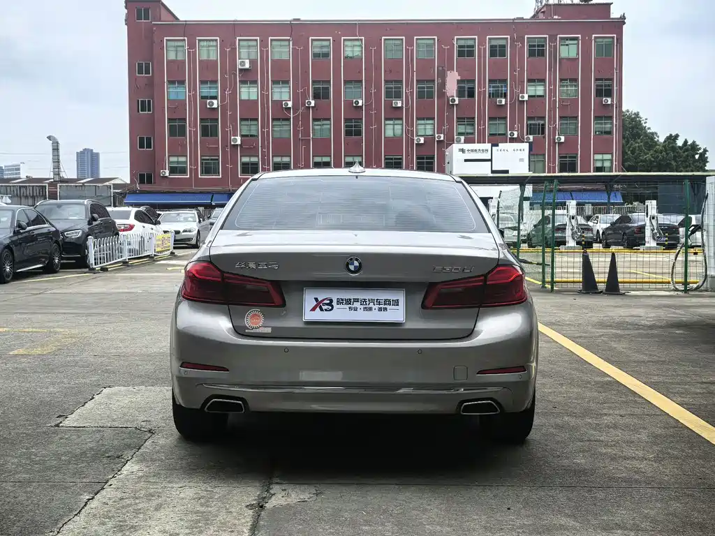 BMW 5 Series 5 2020 530Li Premium Luxury