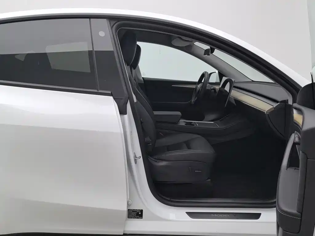 Tesla Model Y — миниатюра 23