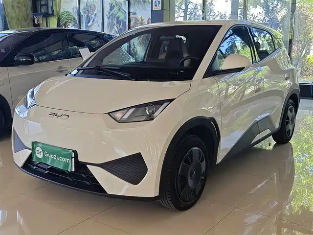 2025 BYD Seagull