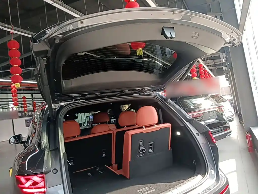 BYD Дон Л. — миниатюра 19