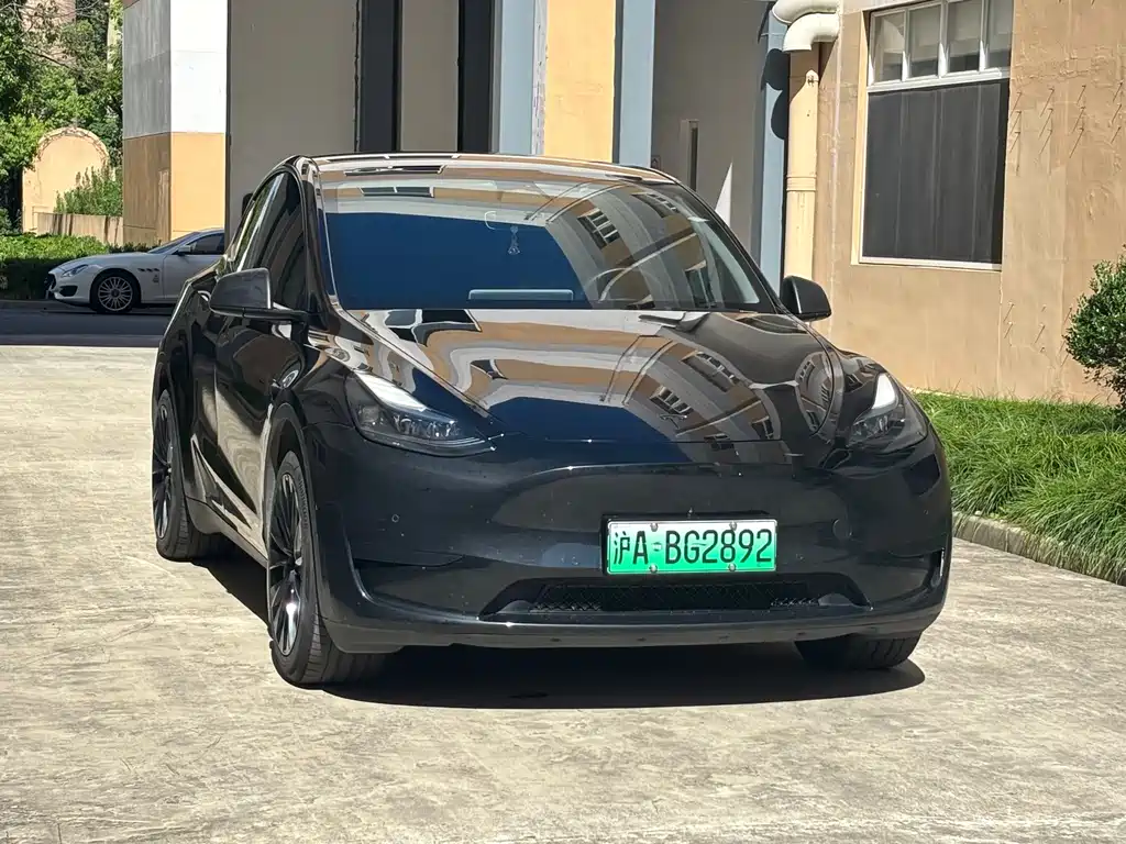 Tesla Model Y — миниатюра 3
