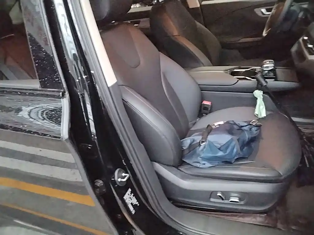 Hongqi Hongqi E-QM5 — миниатюра 25