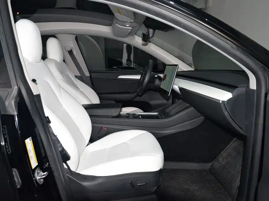 Tesla Model Y — миниатюра 17