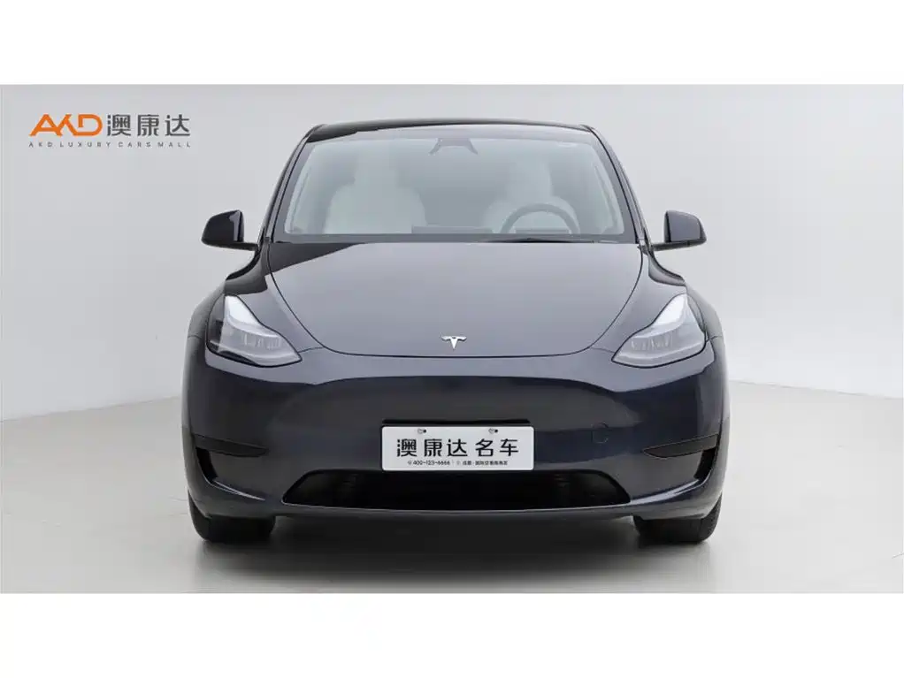 Tesla Model Y — миниатюра 2