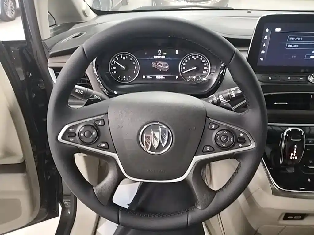 Buick GL8 — миниатюра 11