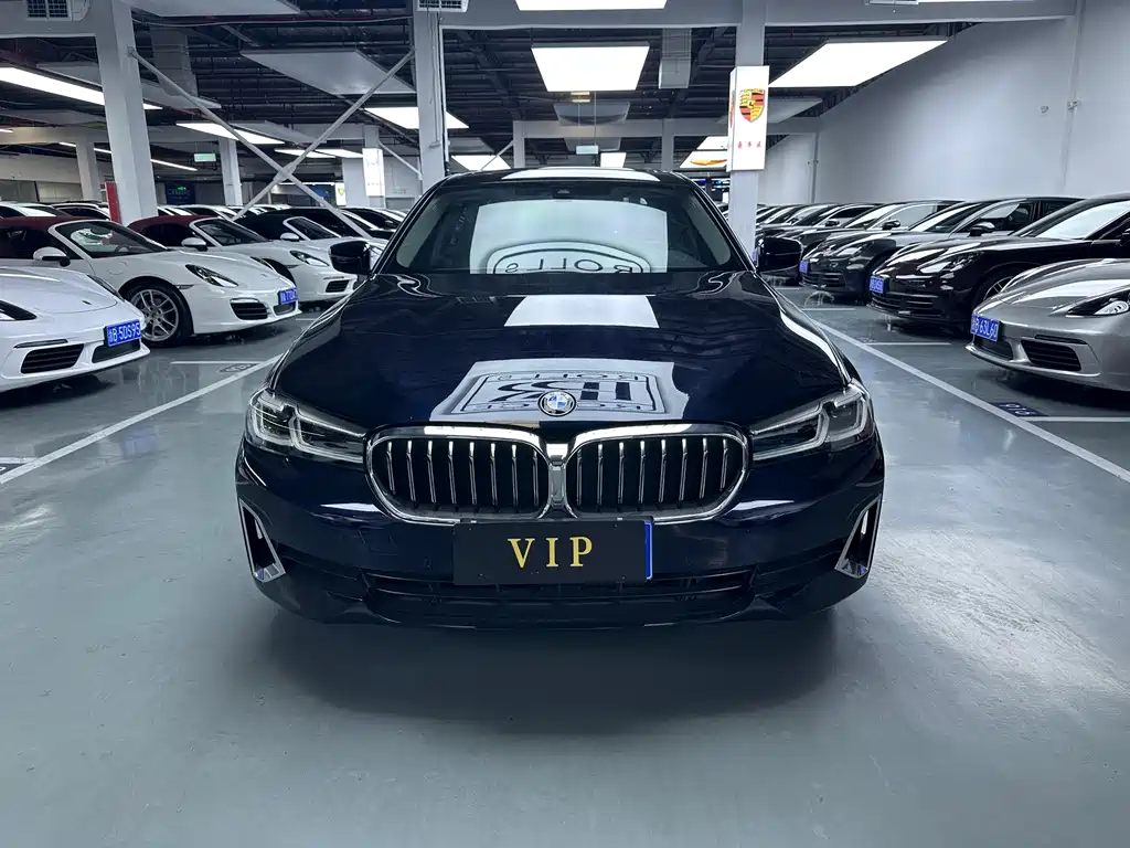 BMW 5 Series 5 2021 530Li Lead Luxury
