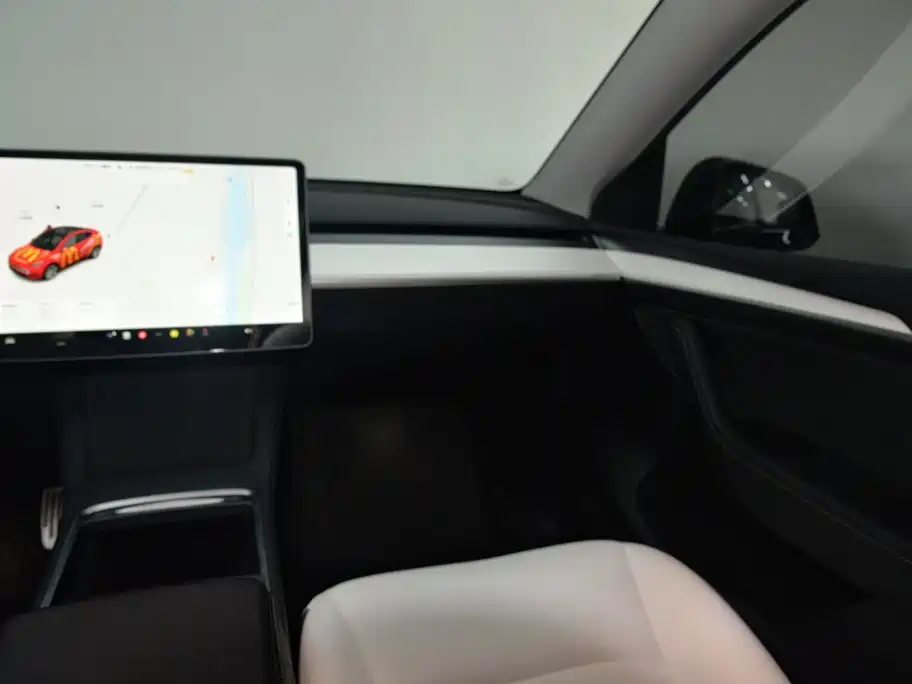 Tesla Model Y — миниатюра 13